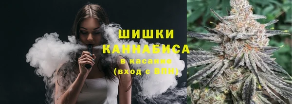 прущие грибы Алексин