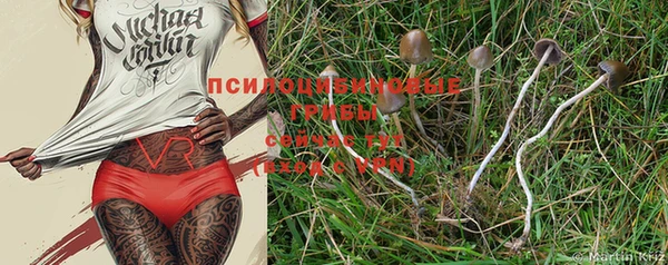 марки nbome Алзамай