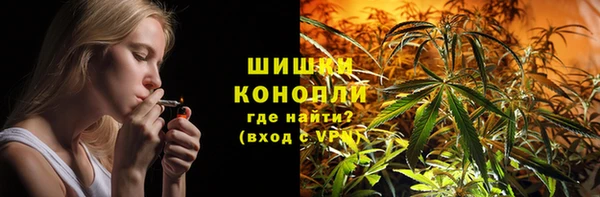 прущие грибы Алексин