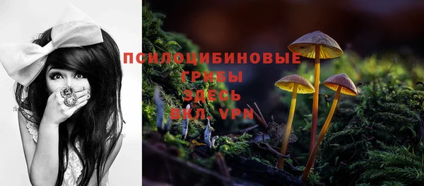 гашик Алексеевка