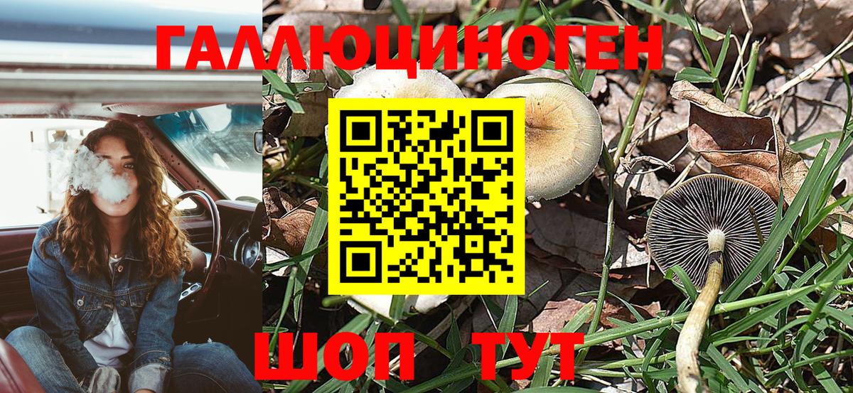 Псилоцибиновые грибы мицелий  хочу   Коряжма  Псилоцибиновые грибы Cubensis  Вход с VPN 